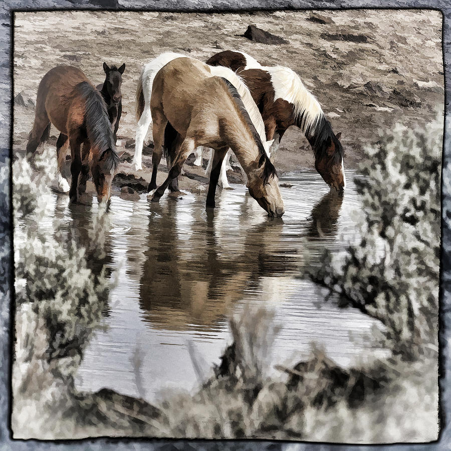At The Watering Hole 1 Photograph by Wes and Dotty Weber