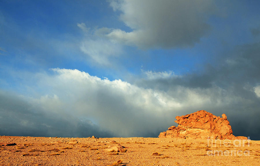 Atacama Desert Chile Photograph by Vivian Christopher