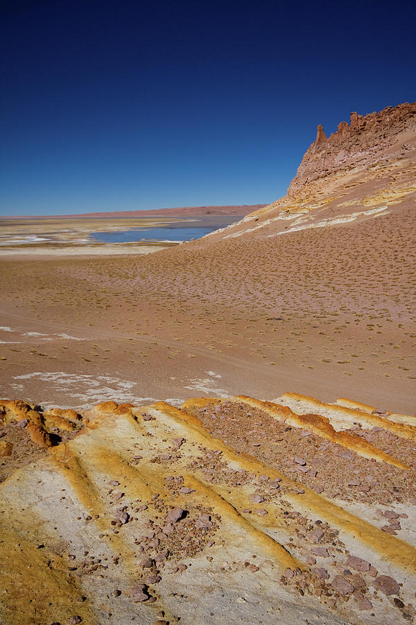Atacama Desert Lagoon And Rock Photograph by Universal Stopping Point Photography