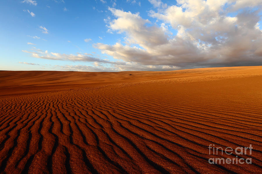 Atacama Desert Wilderness Photograph by James Brunker
