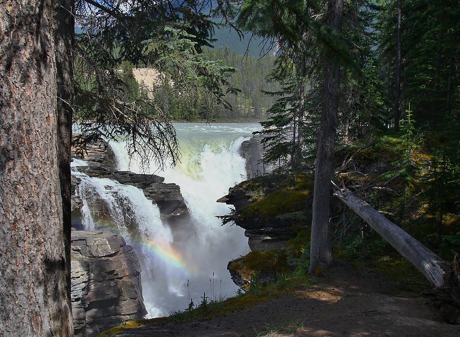 National Parks Photograph - Athabasca Falls 2 by Mo Barton
