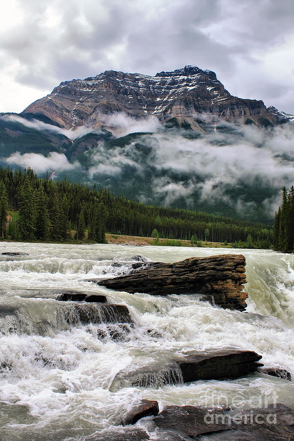 Nature Photograph - Athabasca Falls and Kerkeslin Mountain by Teresa Zieba