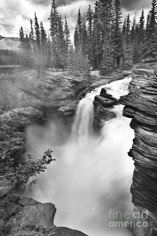 Athabasca Falls Photograph by Ivy Ho