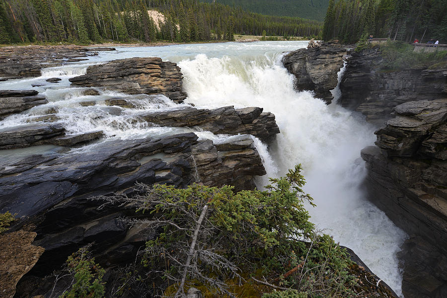 Athabasca Falls Jasper Photograph by Yue Wang