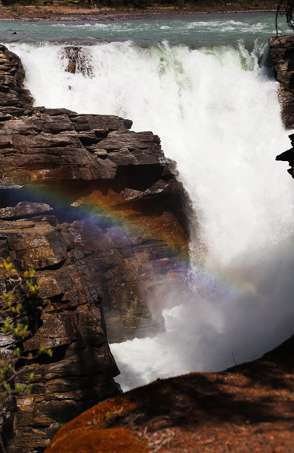 Athabasca Falls Rainbow Photograph by Jean Clark