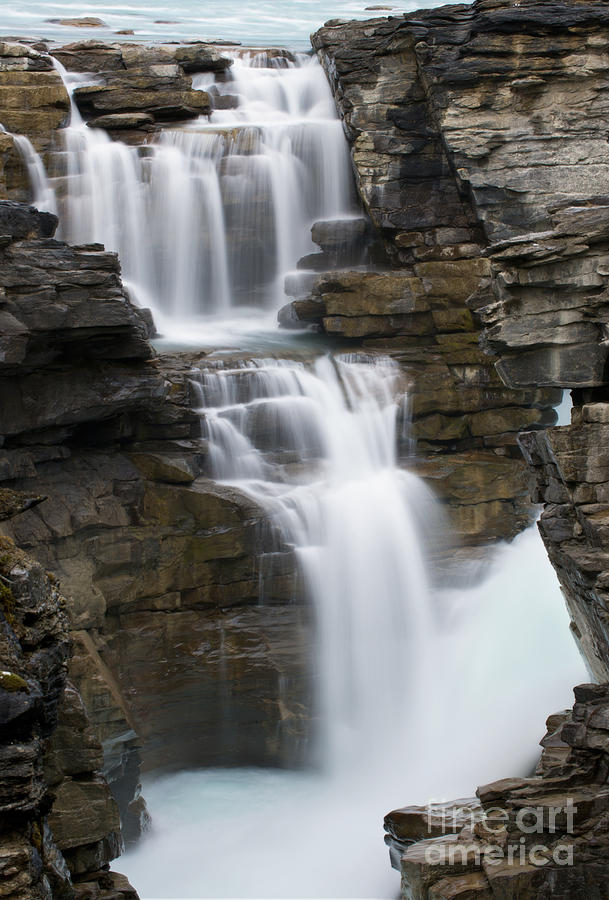 Athabasca Falls Photograph by Shannon Carson