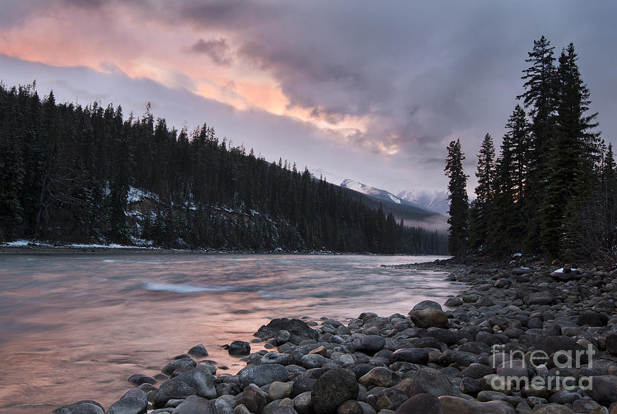 Athabasca River in Pink Photograph by Shannon Carson