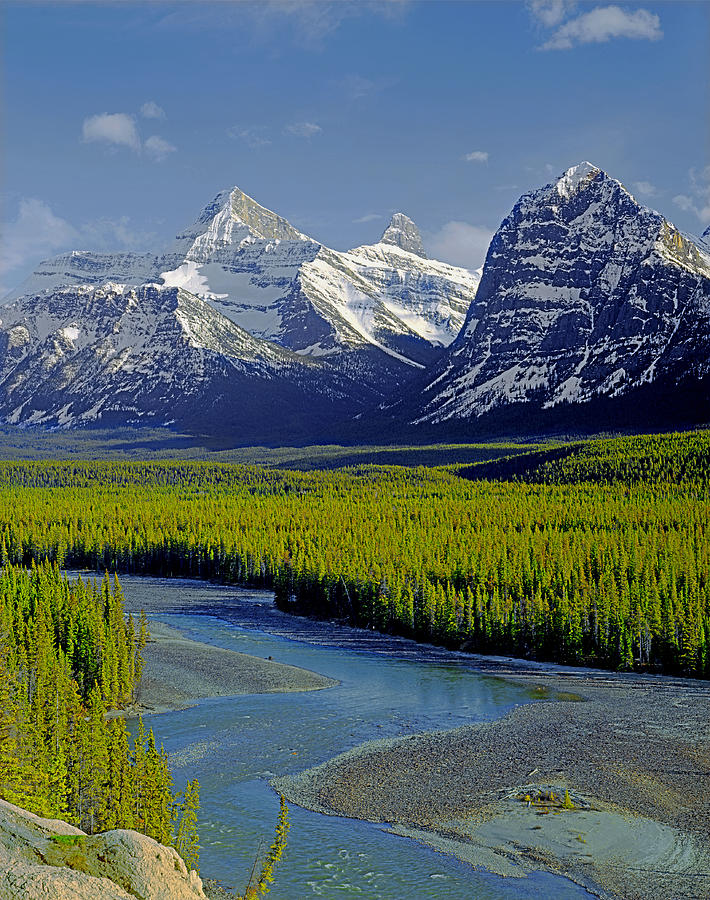 1M3845-Athabasca River Valley Photograph by Ed  Cooper Photography
