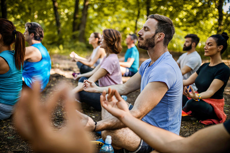 Athletic people practicing Yoga on a sports class in nature. Photograph by Skynesher