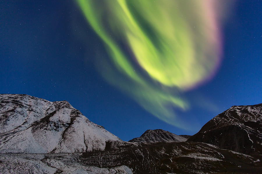 Aurora Photograph - Atigun Pass Summit Northern Lights by Sam Amato