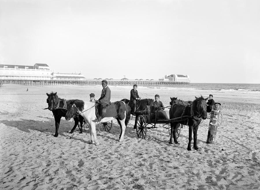 Atlantic City Horses Photograph by Granger
