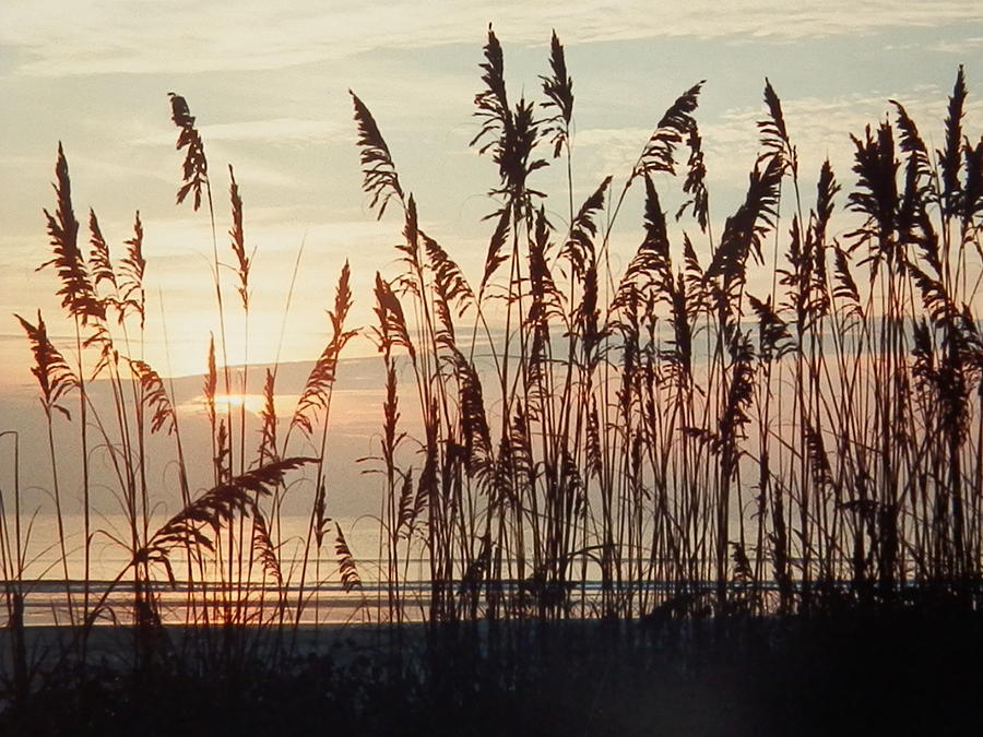 Atlantic Coast Sunrise Photograph by Belinda Lee