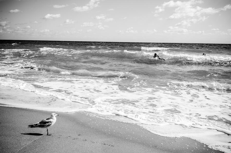 Atlantic Ocean in Black and White Photograph by Anthony Doudt