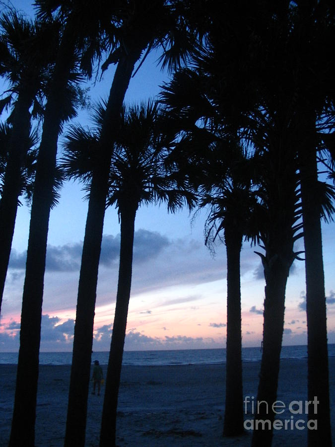Atlantic Sunrise With Palmetto Palm Silhouettes 1 Photograph by Paddy Shaffer