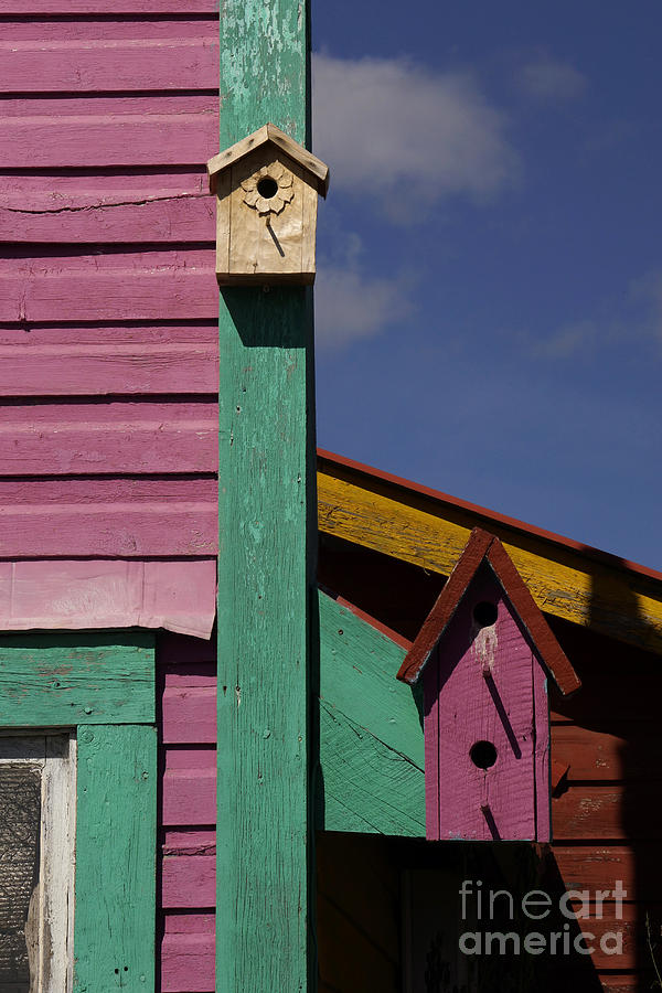 Atlin Birdhouses Photograph by Inge Riis McDonald