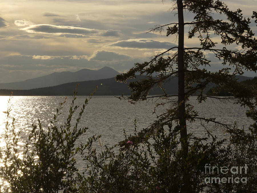 Atlin Lake Sunset Photograph by Inge Riis McDonald