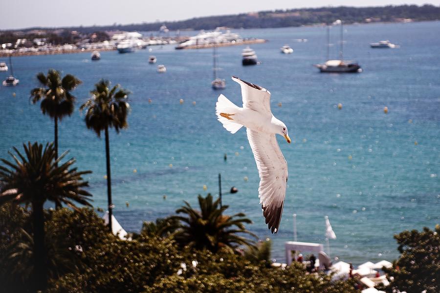 Atmosphere - The 67th Annual Cannes Photograph by Francois Durand
