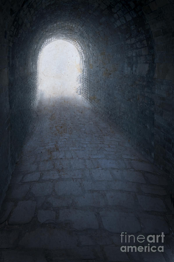 Atmospheric Creepy Arched Tunnel With Cobbled Floor Photograph By Lee