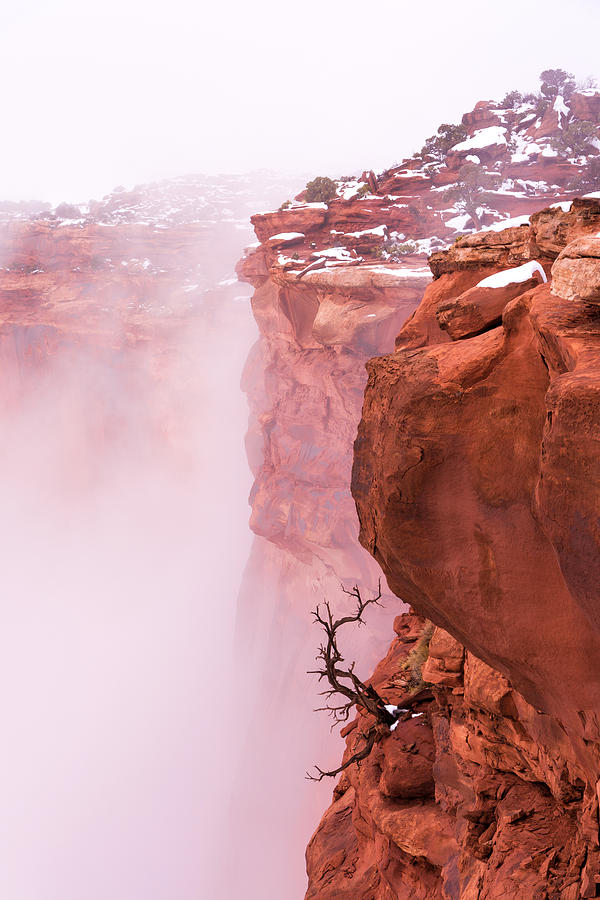 Nature Photograph - Atop Canyonlands by Chad Dutson