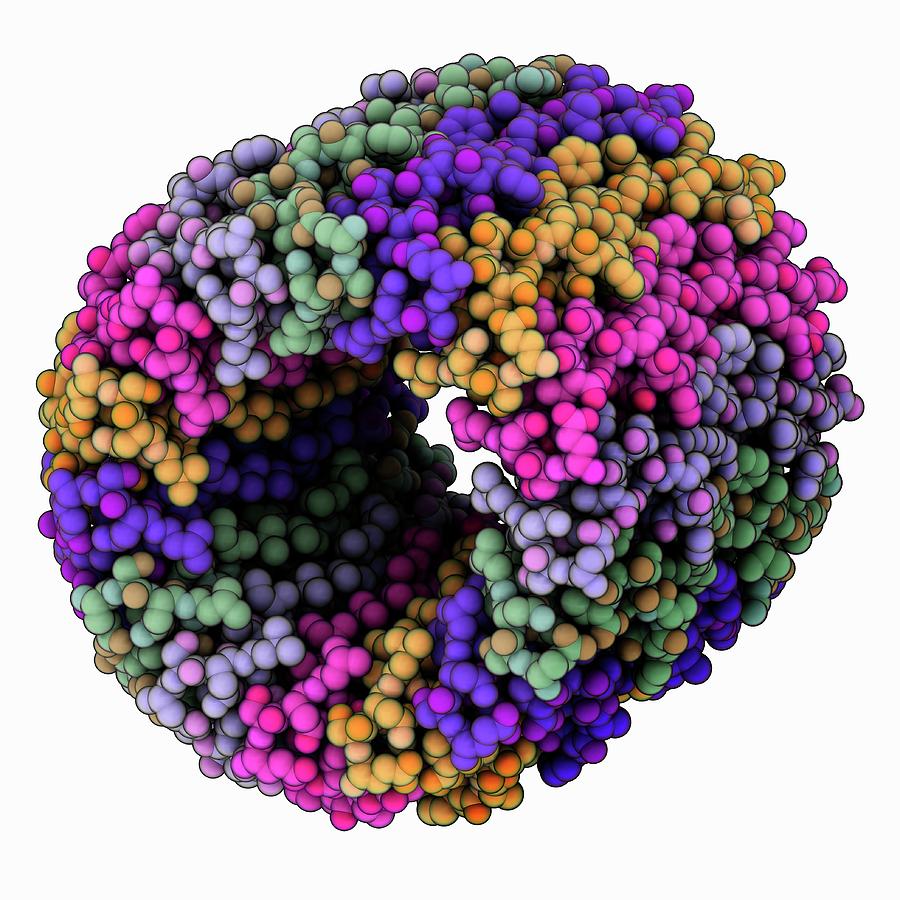 Atp Synthase C Rotating Ring Photograph by Laguna Design/science Photo Library