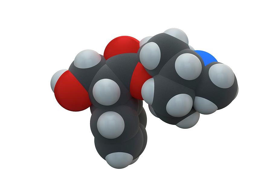 Atropine Drug Molecule by Ella Maru Studio / Science Photo Library