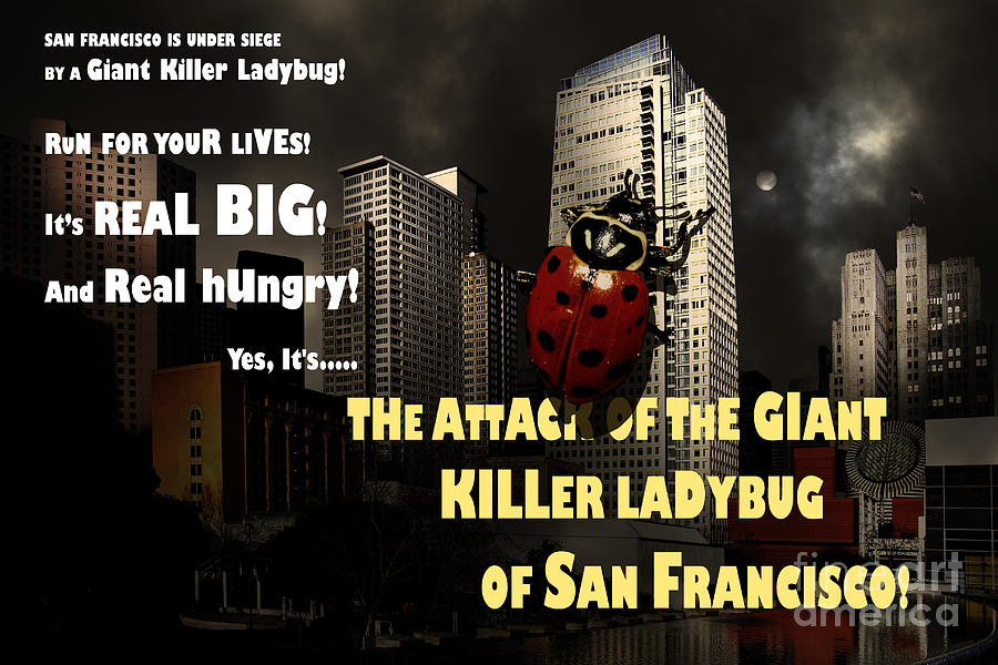 Attack of The Giant Killer Ladybug of San Francisco 7D4262 with text Photograph by Wingsdomain Art and Photography