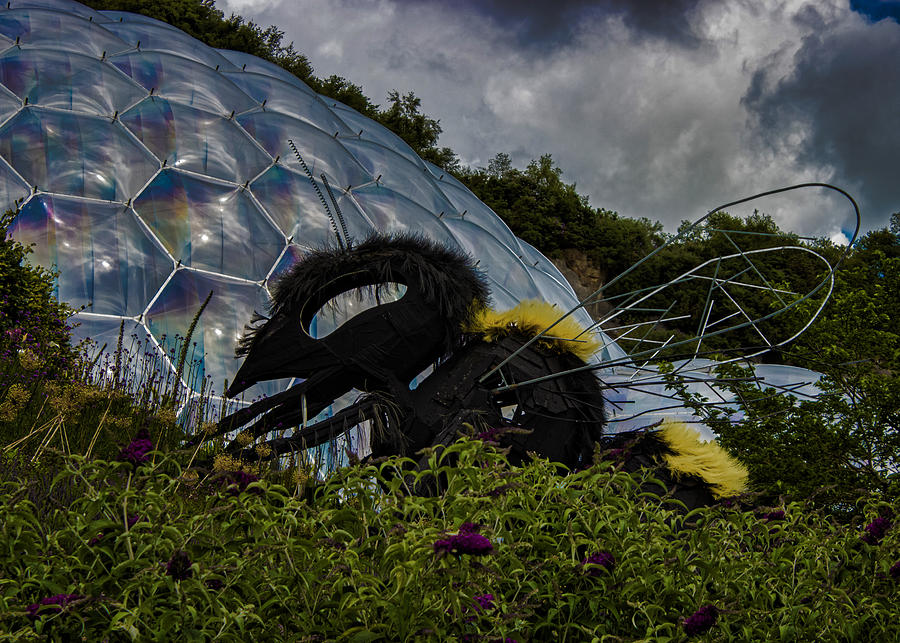 Landscape Photograph - Attack of the Giant Wasp by Martin Newman