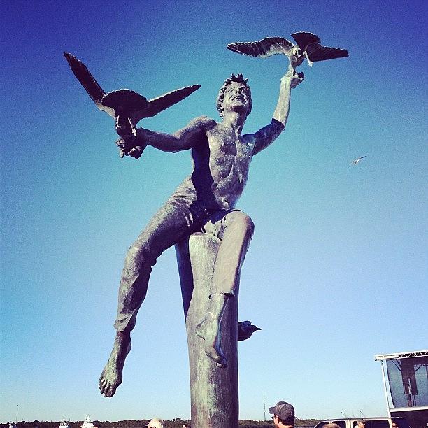 Attack Of The Seagulls Photograph by Fotima Noureddine