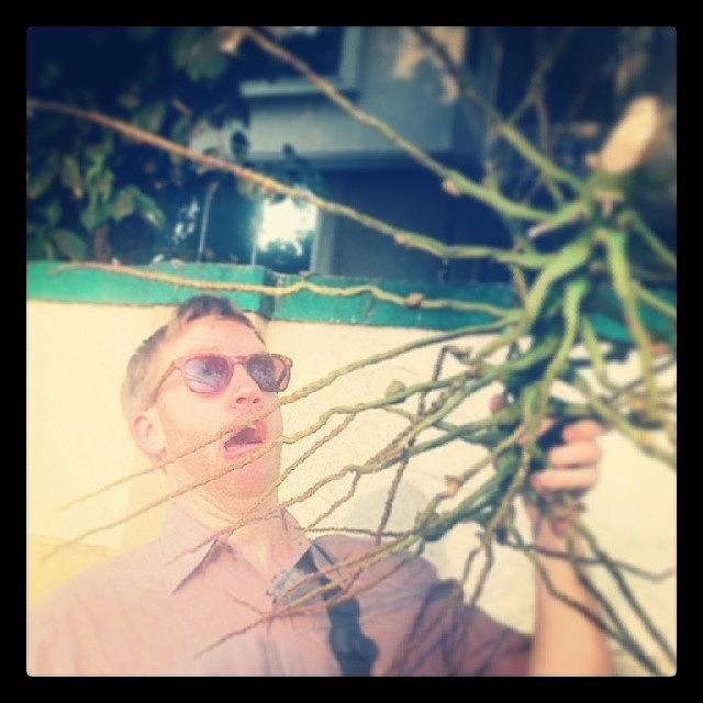 Bandra Photograph - Attack Of The Spider Branch. #silly by Labony Kaushal