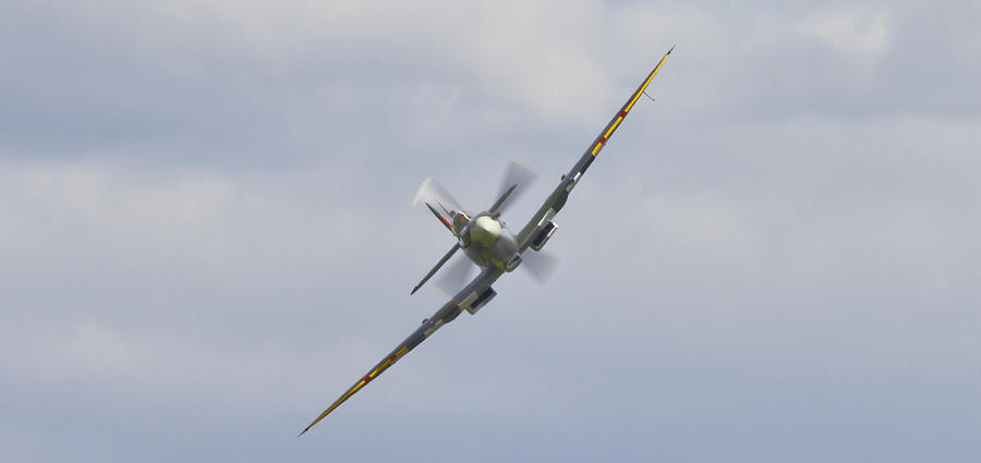 Attacking Spitfire Photograph by Maj Seda