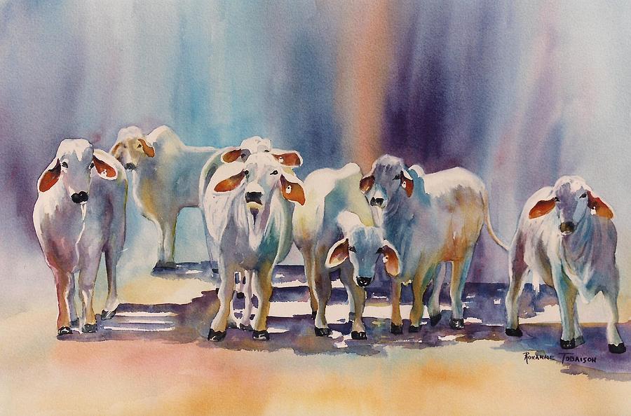 Cow Painting - Attention all Ears.  Brahman Bulls by Roxanne Tobaison