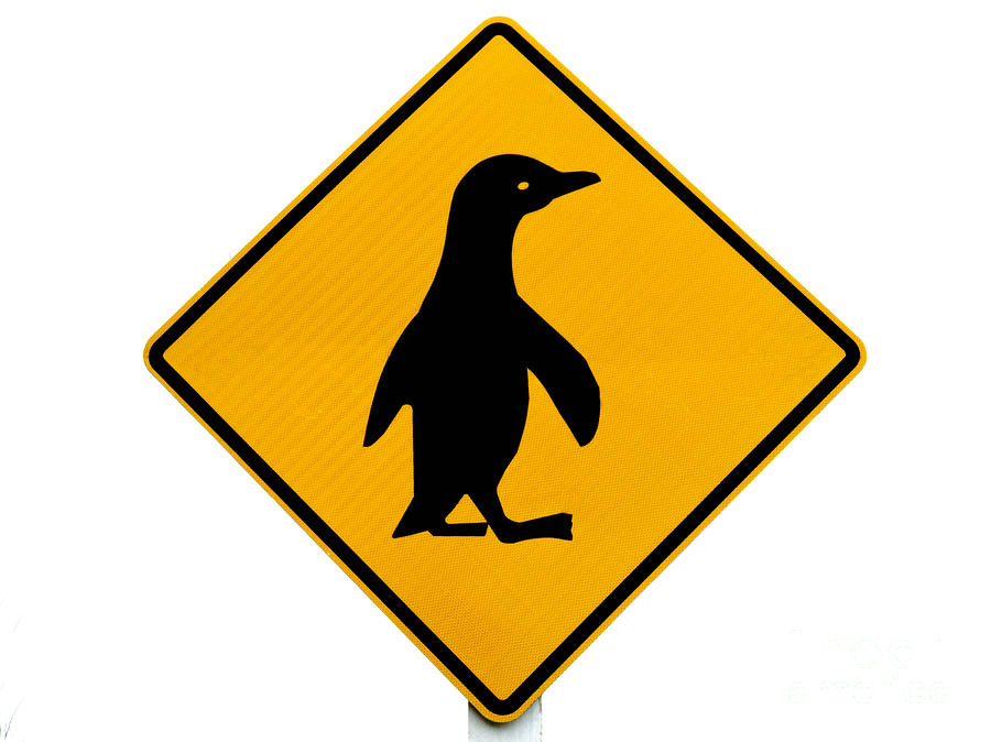 Attention Blue Penguin Crossing Road Sign Photograph by Stephan Pietzko ...