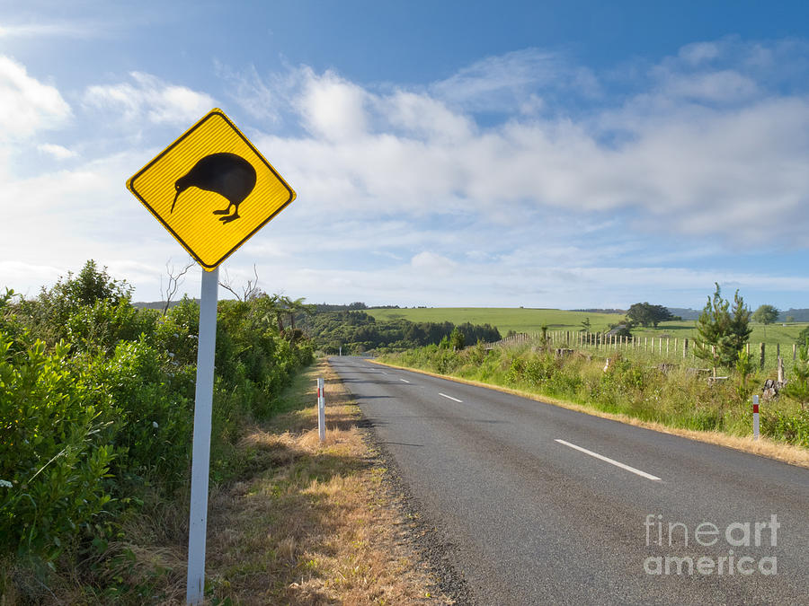 Attention Kiwi Crossing Roadsign At Nz Rural Road Photograph