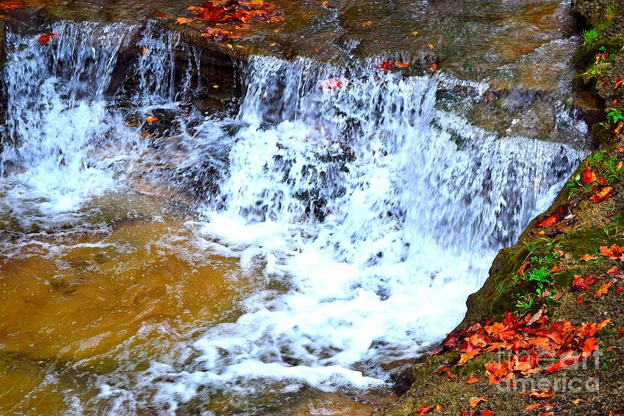 Autumn Falls Photograph By Vanessa Caballero 