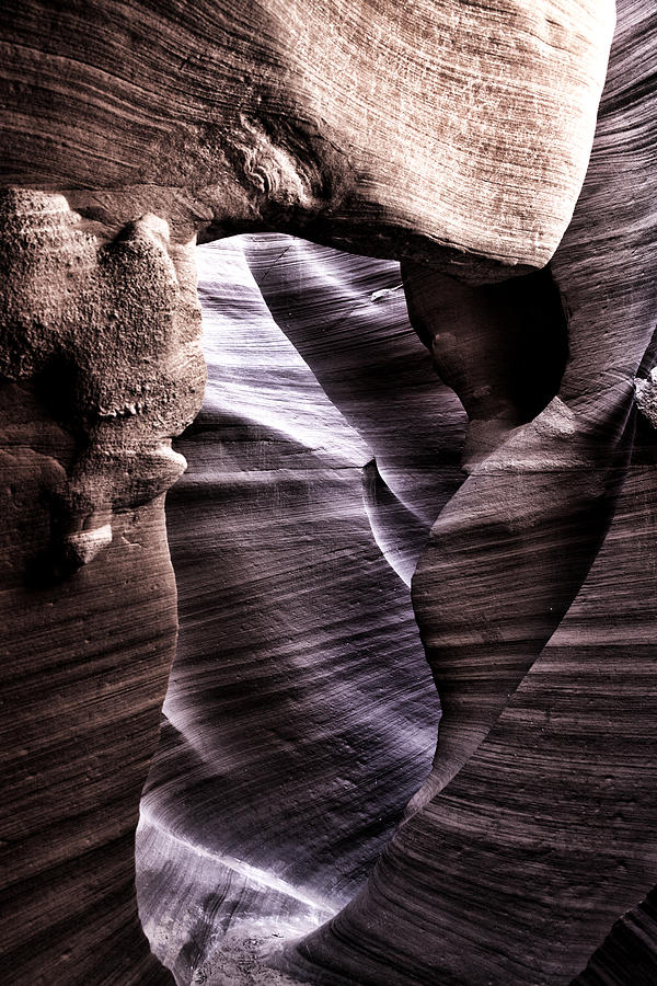 Aubergine Chocolate Antelope Canyon Photograph by Evie Carrier