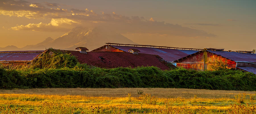 Auburn Valley Sunrise Photograph by Ken Stanback