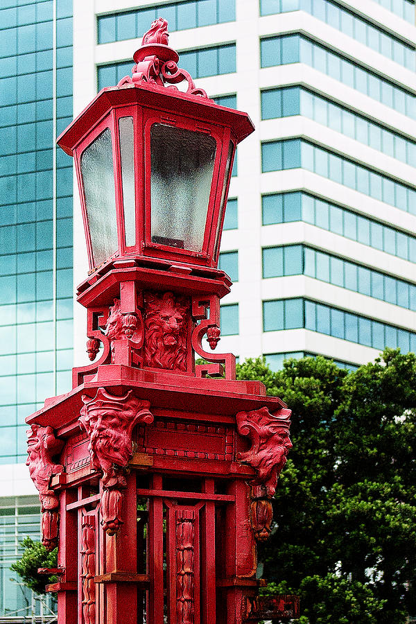 Auckland Close up Red Lamp Photograph by Linda Phelps