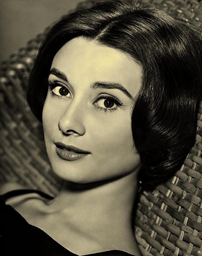 Audrey Hepburn Photograph - Audrey Hepburn  by Movie Poster Prints