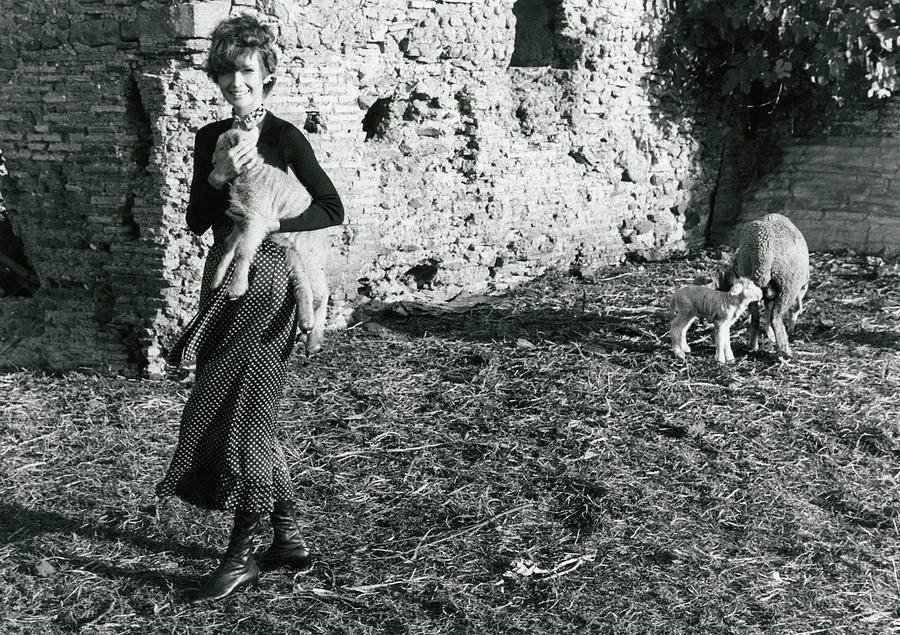 Audrey Hepburn On A Farm Photograph by Henry Clarke