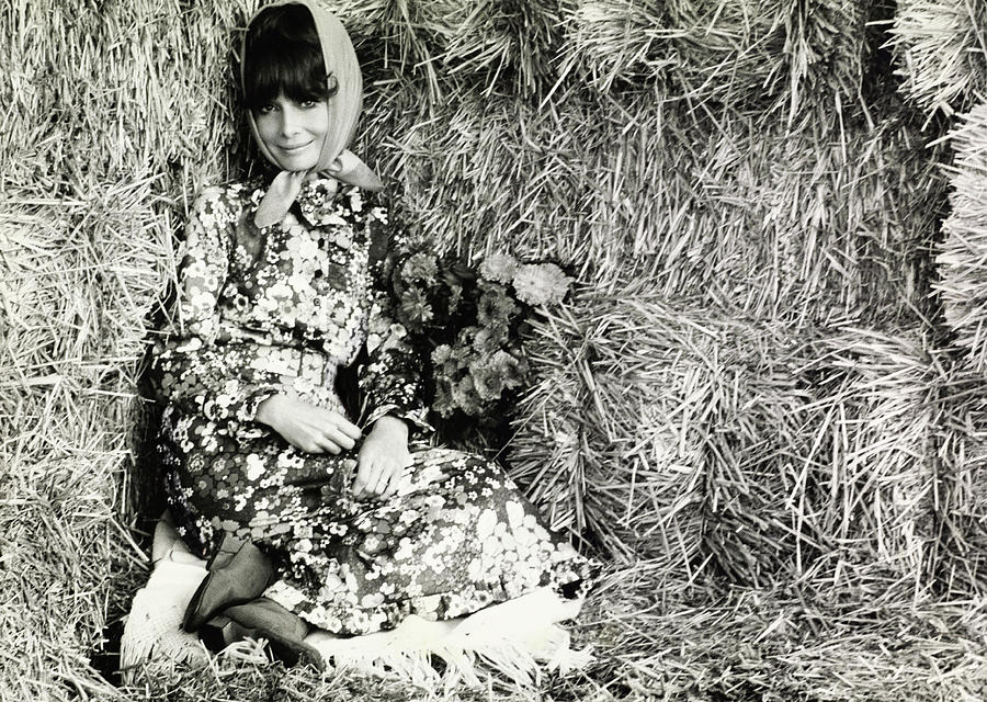 Audrey Hepburn Sitting In Hay Wearing Givenchy Photograph by Henry Clarke