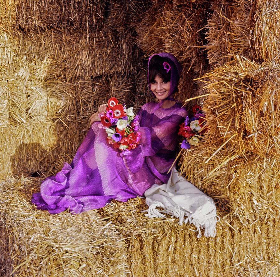 Audrey Hepburn Wearing A Purple Givenchy Dress Photograph by Henry Clarke