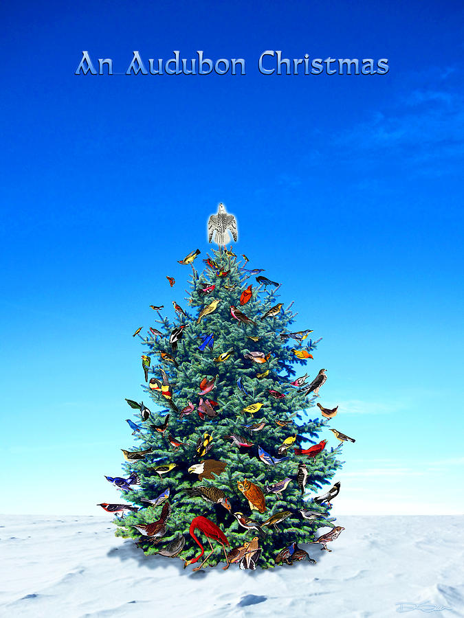 Christmas Photograph - Audubon Christmas Card by Ric Soulen
