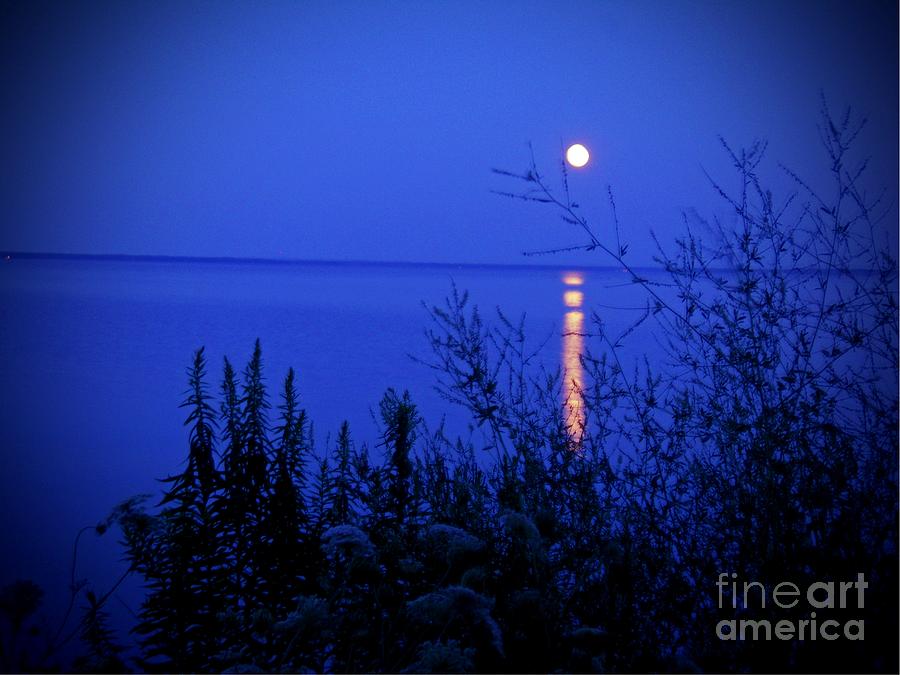 August Moonrise Photograph by Desiree Paquette