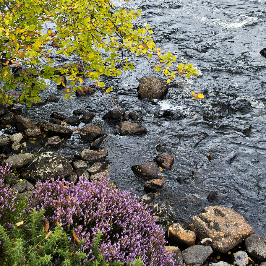 August Palette Scotland Photograph by Sally Ross