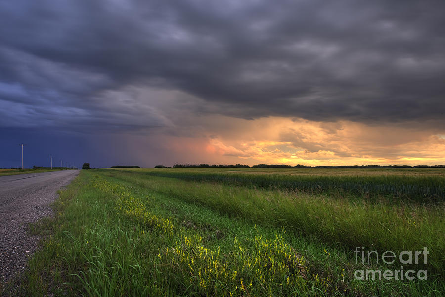 August Storm Photograph by Dan Jurak