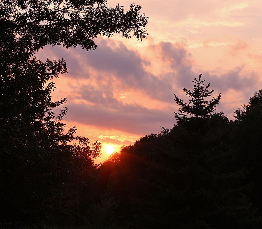 August Sunset Photograph by Elizabeth Sullivan