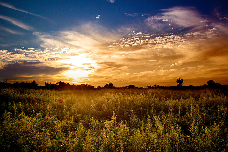 August Sunset in the Meadow Photograph by Rob Blair