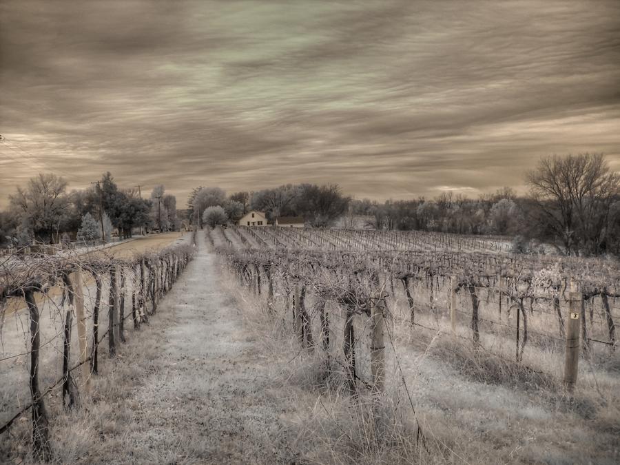Augusta Missouri Winery Photograph by Jane Linders