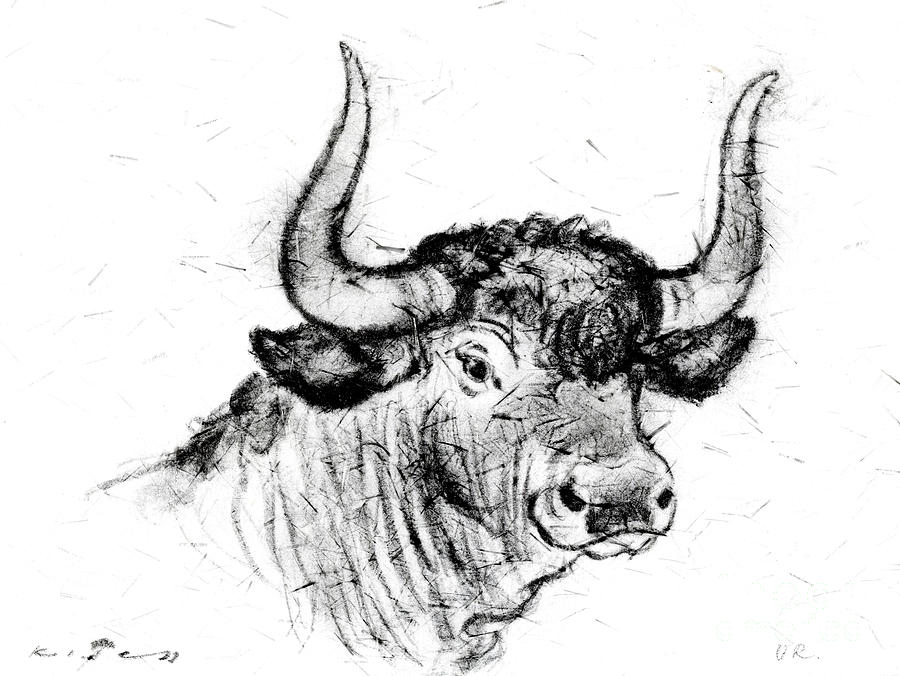 Aurochs - Bos Primigenius Drawing by Kurt Tessmann