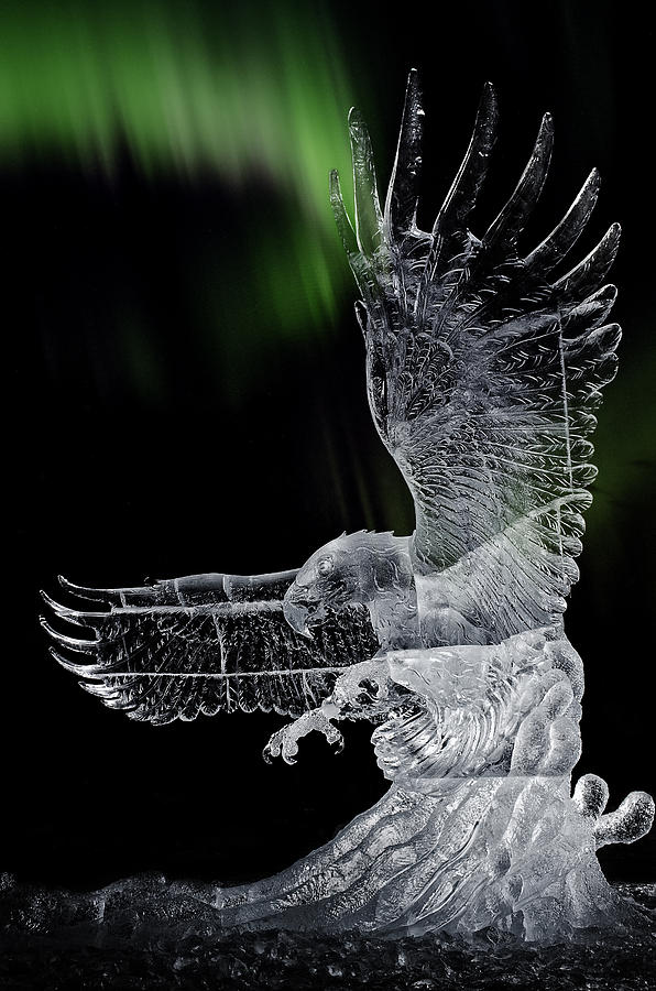 Eagle Photograph - Aurora and the Ice Eagle by Thomas Payer